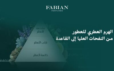 الهرم العطري: دليل شامل لفهم تركيبة العطور