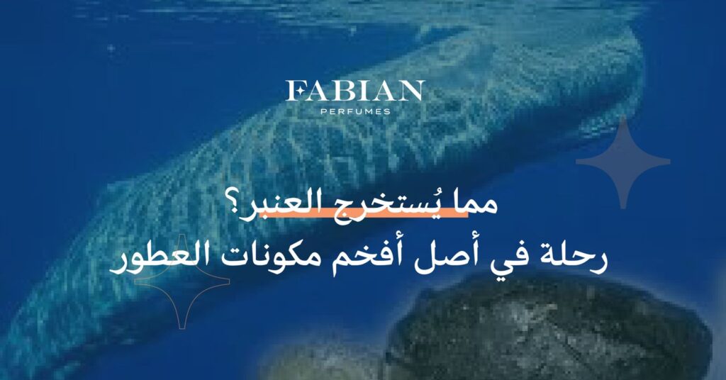 مما يستخرج العنبر